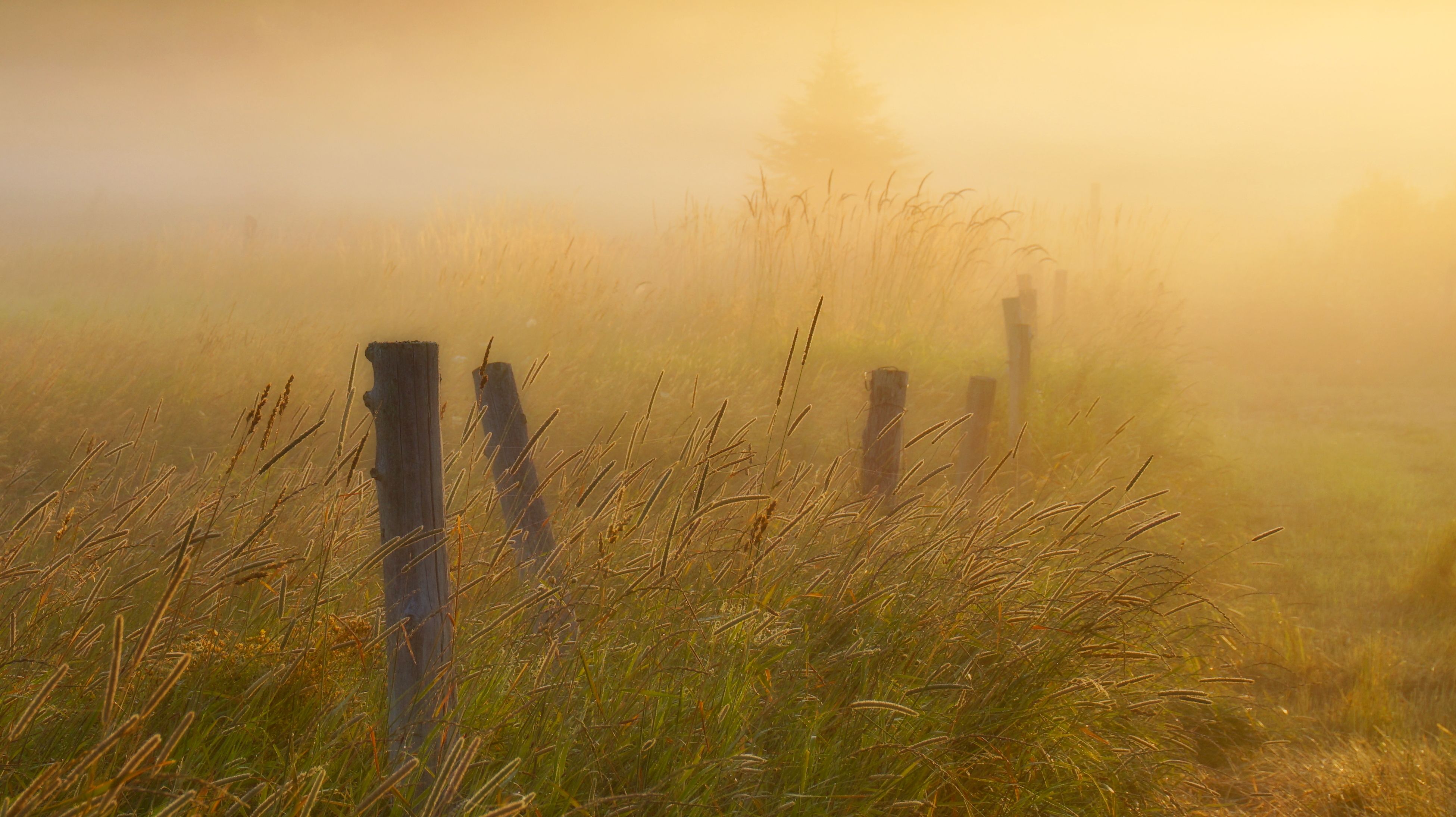 Green Grass Field With Brown Wooden Fence · Free Stock Photo