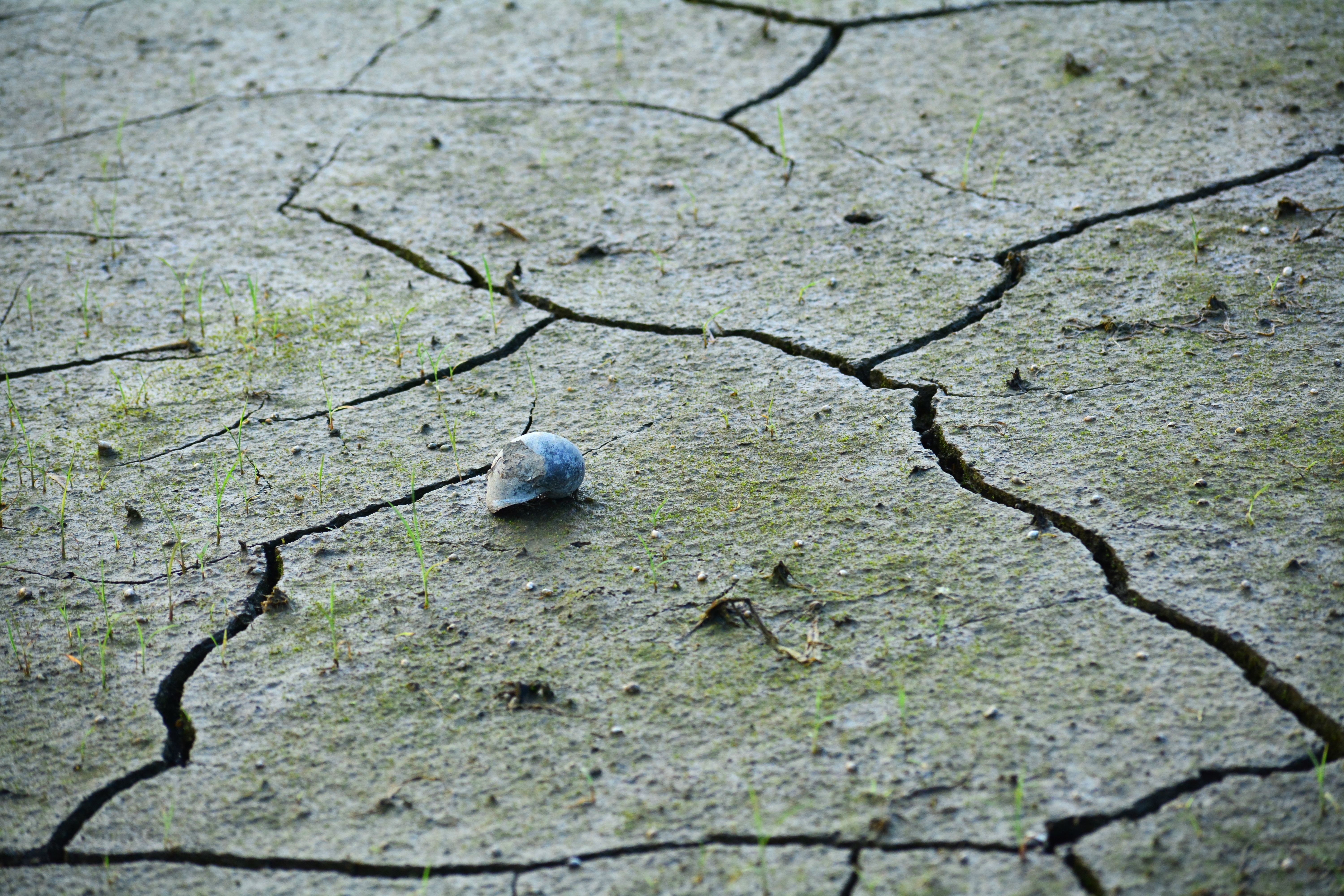 Dry cracked soil near a residential foundation showing drought impact and potential foundation movement risks in San Die