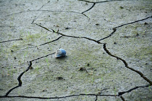 Безкоштовне стокове фото на тему «ґрунт, камінь, Поверхня землі»