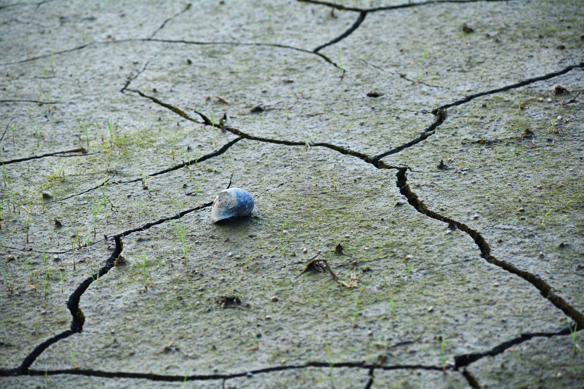 Waterschap Limburg verbiedt wateronttrekking uit beken en sloten