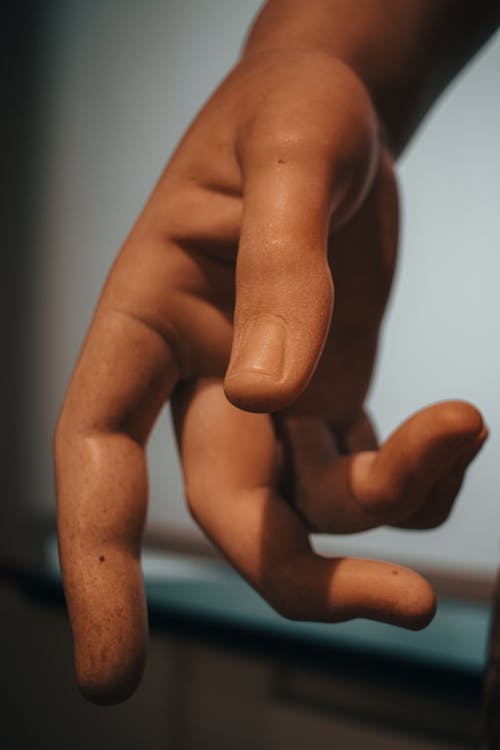 Close up of a Hand of a Sculpture