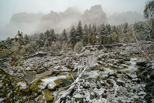 冬季, 區域, 大雪覆盖 的 免费素材图片
