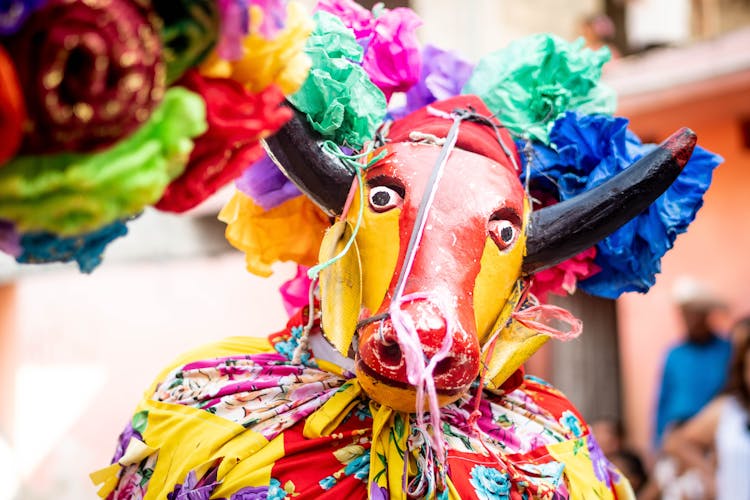 Person In A Colourful Costume On A Parade