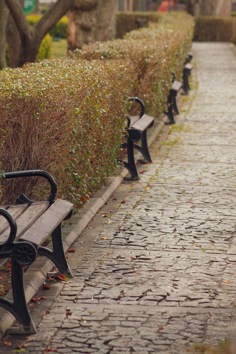 Benches And Cobblestone In The Park