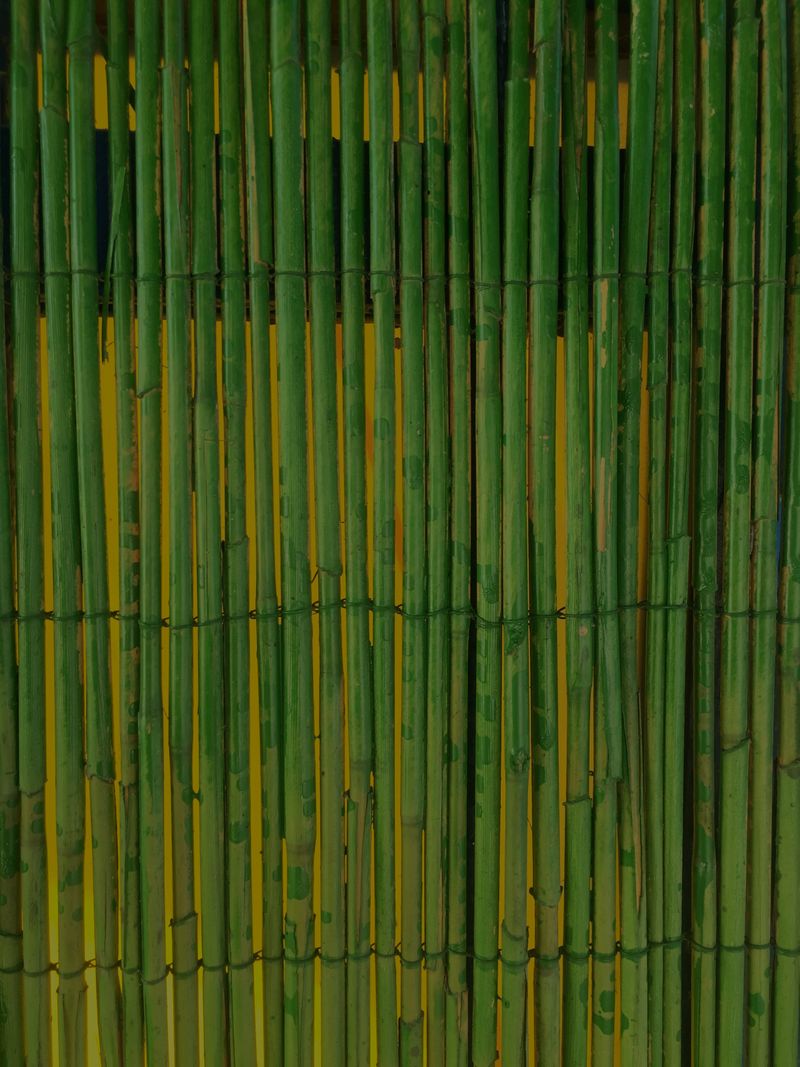 Close-up of a living green bamboo screen showing dense natural texture