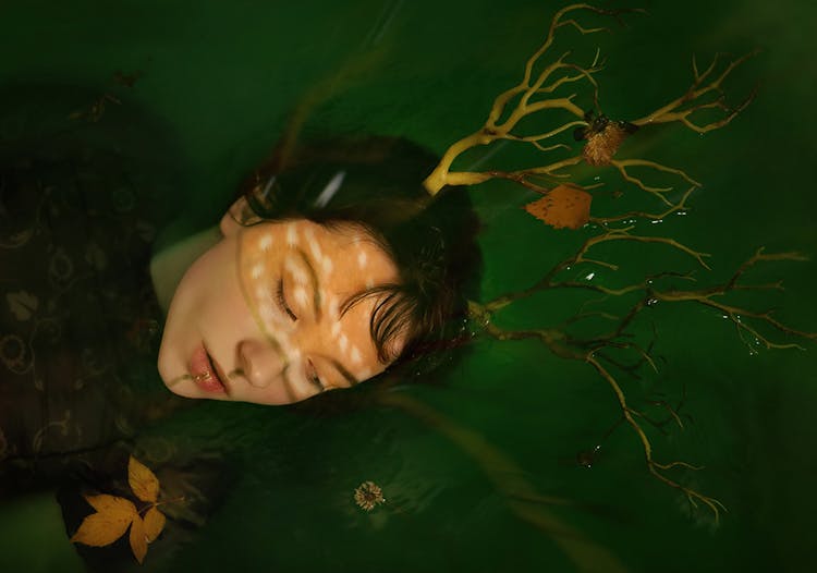 Androgynous Person With Twig Antlers In Water