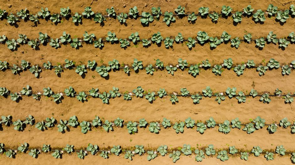 Fertilizer Prices Spike Amid Iran War, Putting Canadian Farmers on Edge