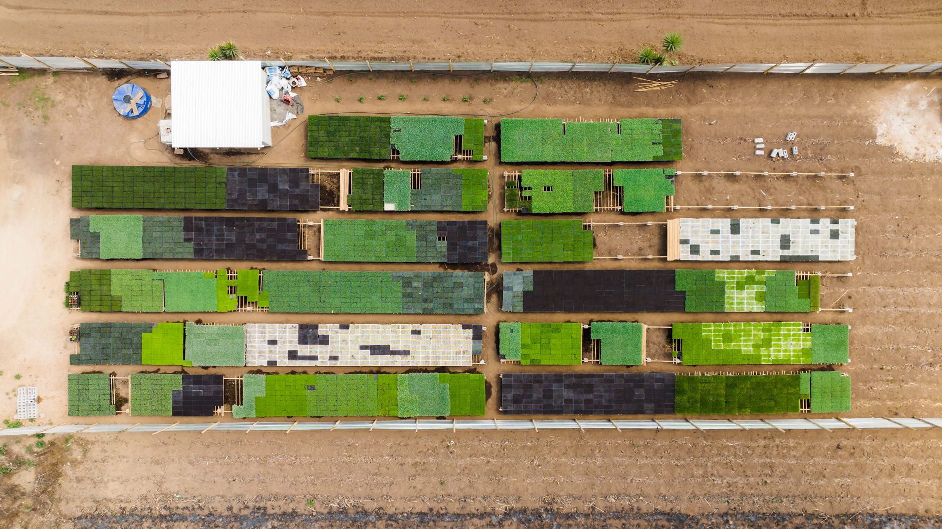 Agrivoltaïque