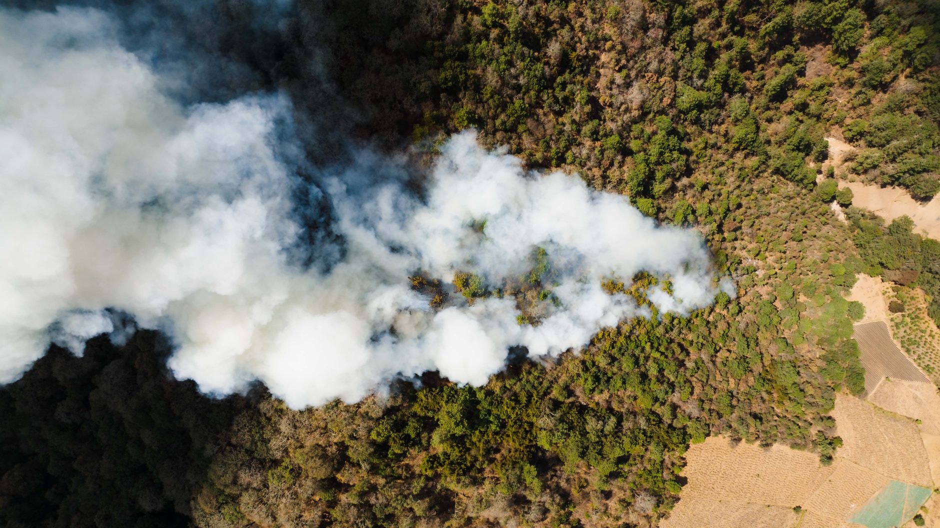 Belçika'da Hautes Fagnes doğa rezervinde çıkan orman yangınından yükselen dumanlar