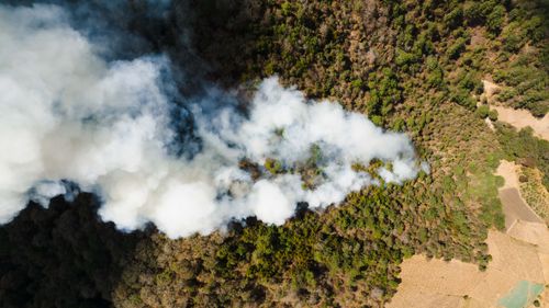Free Stunning aerial view capturing smoke over a dense forest landscape, highlighting environmental impact. Stock Photo