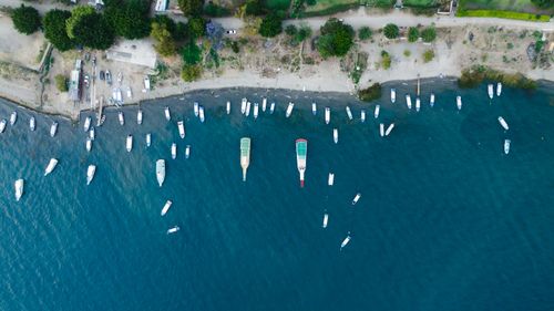 Free Aerial shot of boats along a tree-lined coastline with clear blue water. Stock Photo