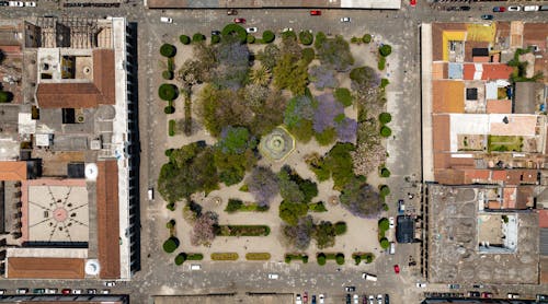 Bird's Eye View of a Garden Park