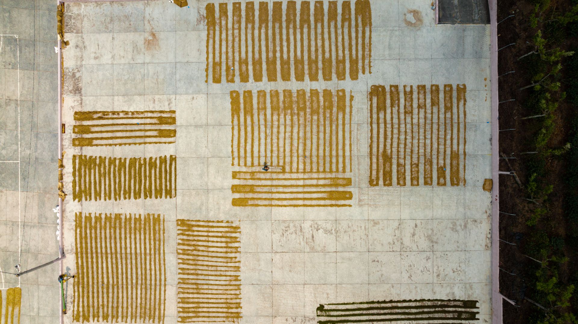 Stunning aerial shot of drying crops on a rooftop forming unique patterns.