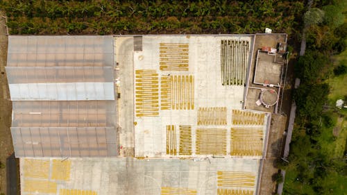 Bird's-eye View of a Farm