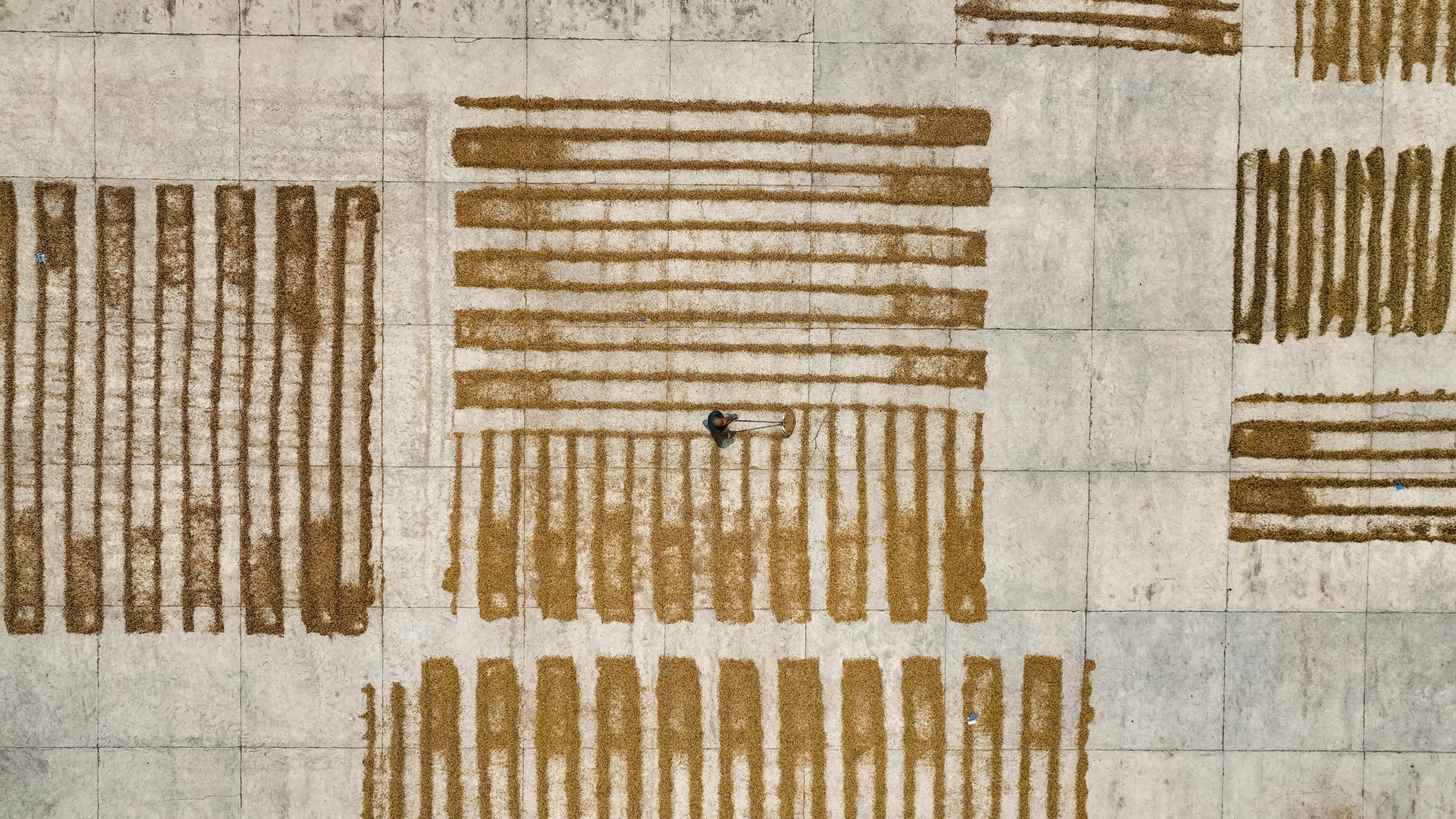 A farmer spreads crops on concrete for drying, captured in an aerial view.