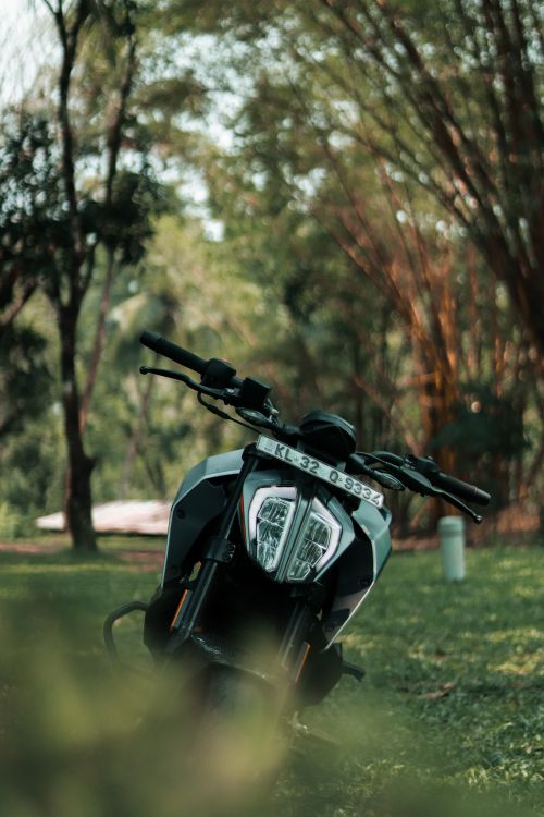 Free Front view of a motorcycle parked on grass in a lush Indian park, emphasizing its headlights and license plate. Stock Photo