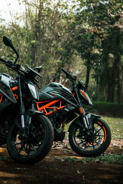 Free Two motorcycles parked in a scenic outdoor park surrounded by greenery. Stock Photo