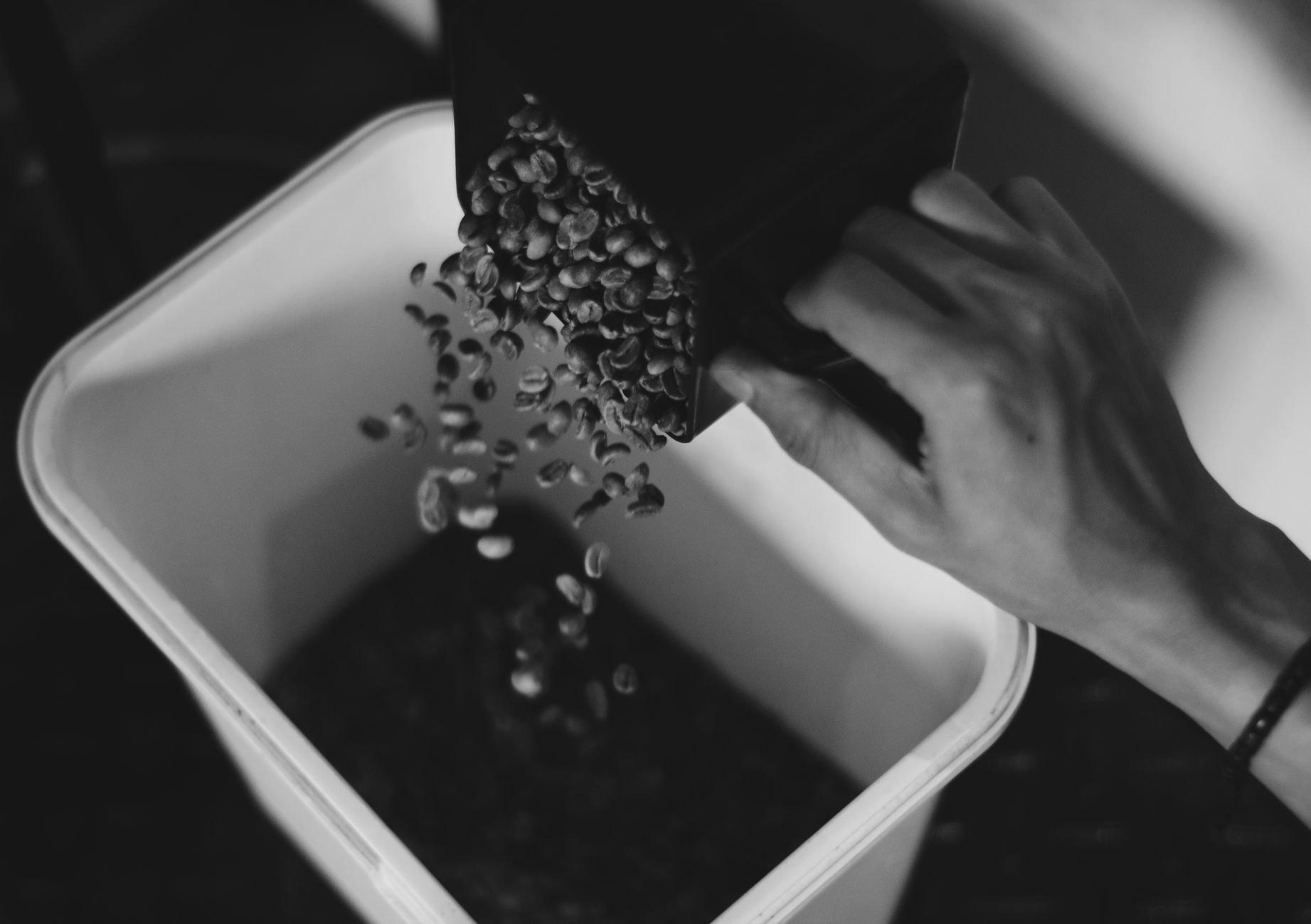Black and white image of coffee beans being poured into a container. Captured indoors.