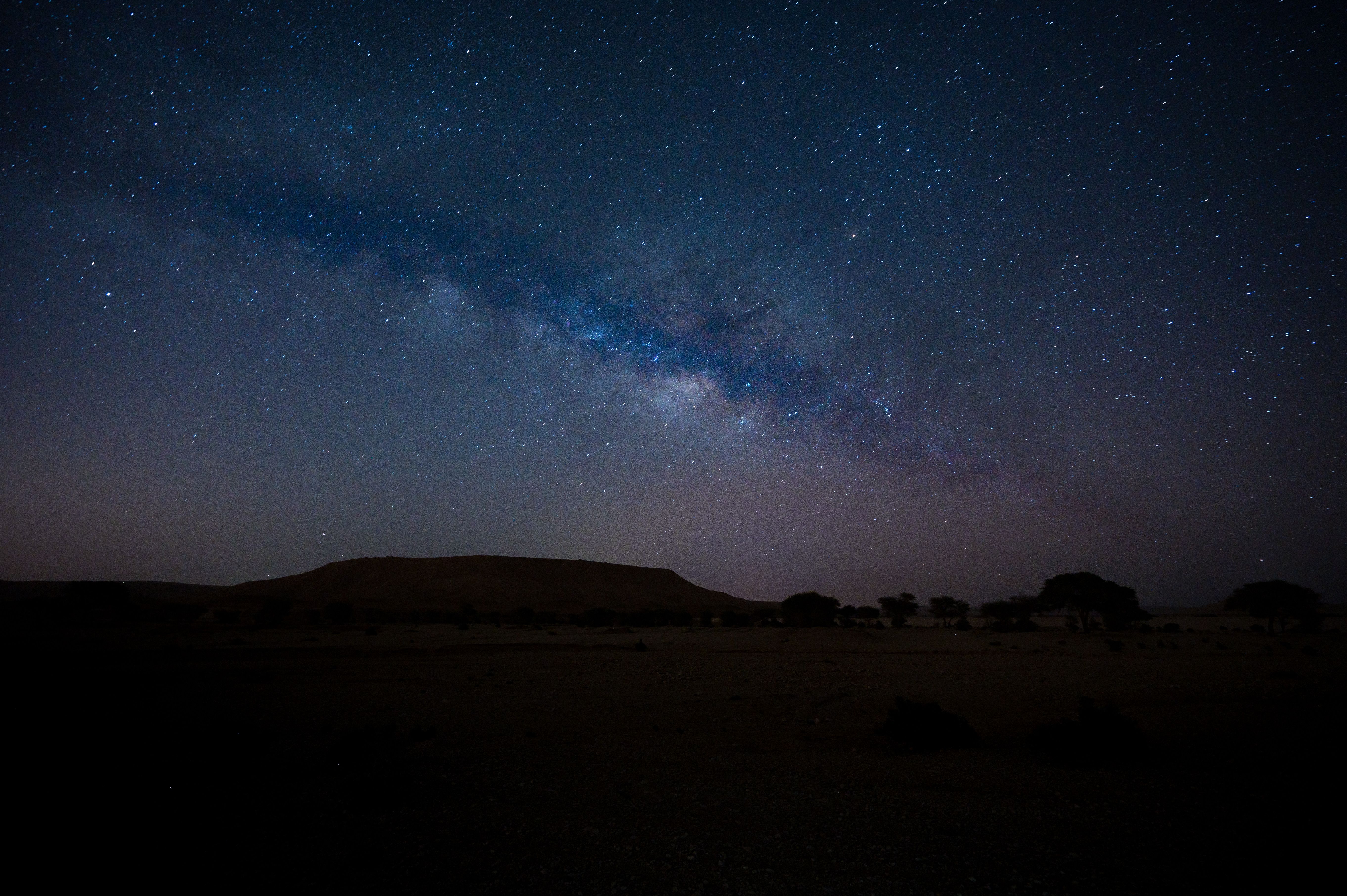Milky Way arching over a flat desert plain with a low mesa and acacia trees