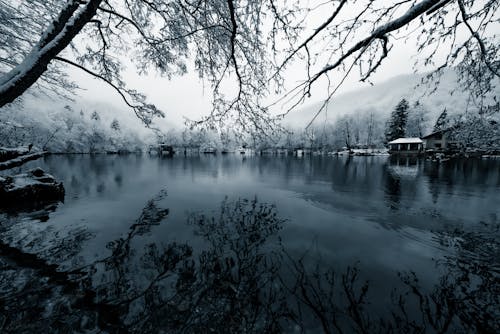 冬, 反射, 寒波の無料の写真素材