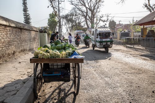 Free Vegetable Stand on the Street of Kathmandu Stock Photo