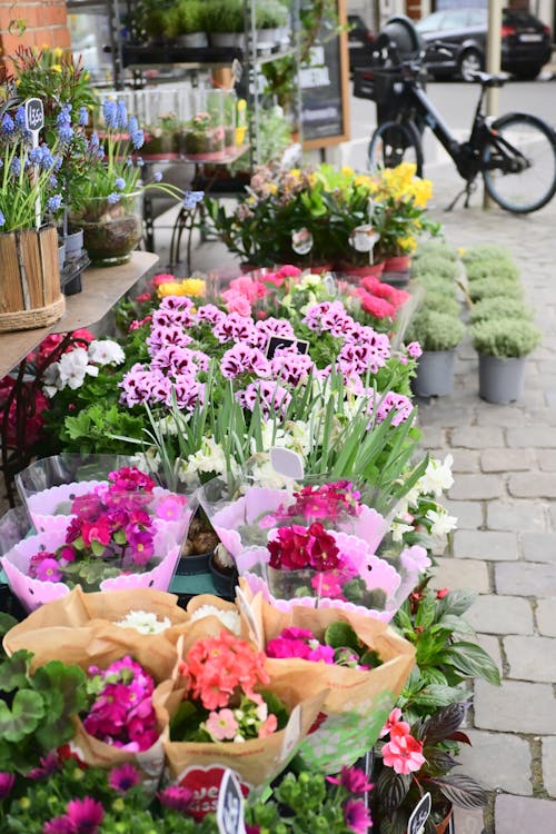 Bunch of Flower Bouquets on a Stand