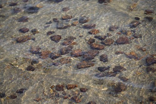Free A close-up view of clear water revealing stones and pebbles beneath, creating a natural mosaic pattern. Stock Photo
