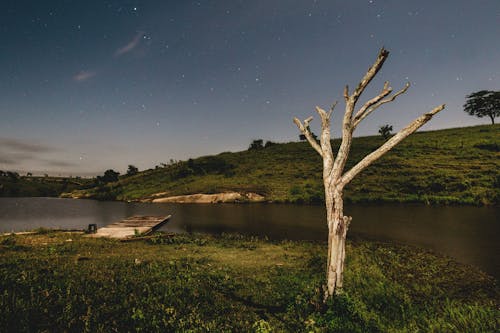 Ảnh lưu trữ miễn phí về ban đêm, chụp ảnh thiên nhiên, con sông