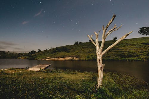 Scenic View of a River during Nighttime