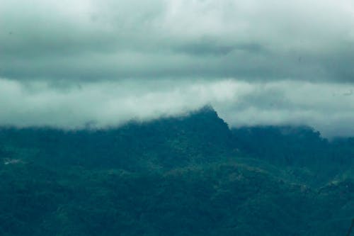 Free stock photo of backgound, blue mountains, foggy day