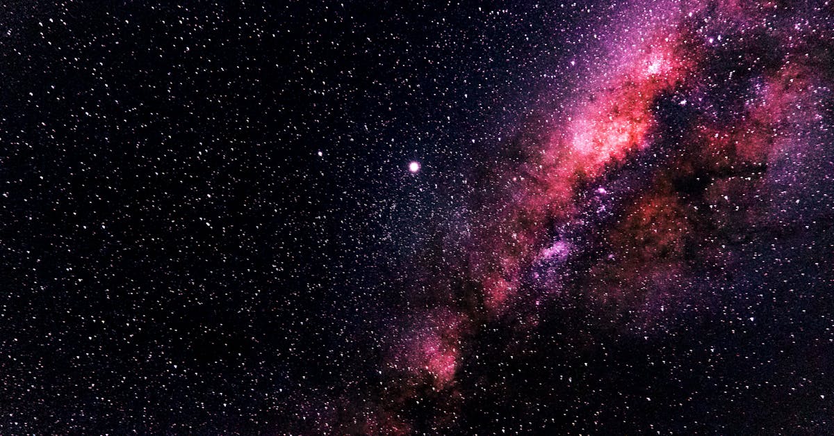 How to purge robots stellar is