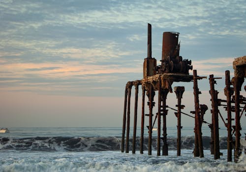 녹슨, 바다, 버려진의 무료 스톡 사진