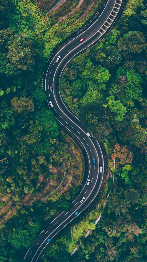 бесплатная Вид с воздуха на дорогу среди деревьев Стоковое фото