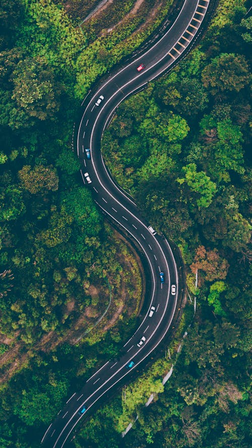 木の真ん中の道路の航空写真