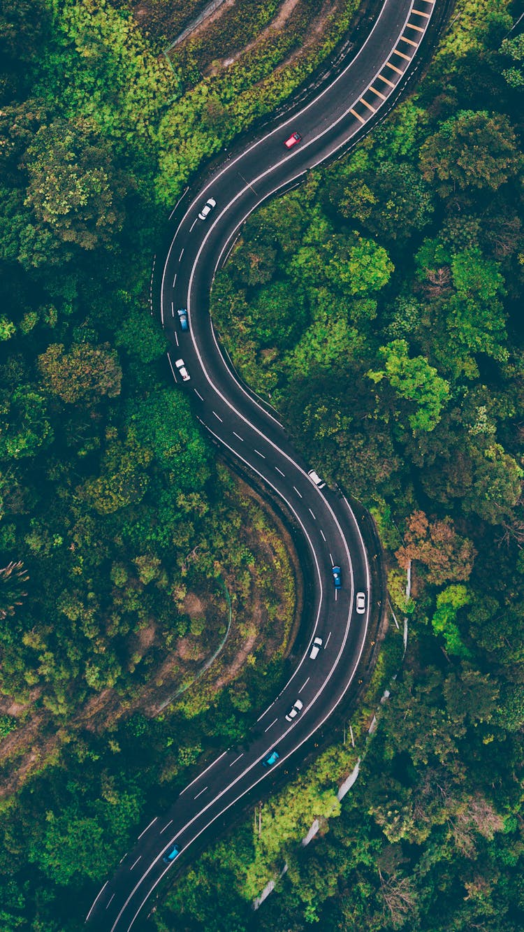 Aerial View Of Road In The Middle Of Trees