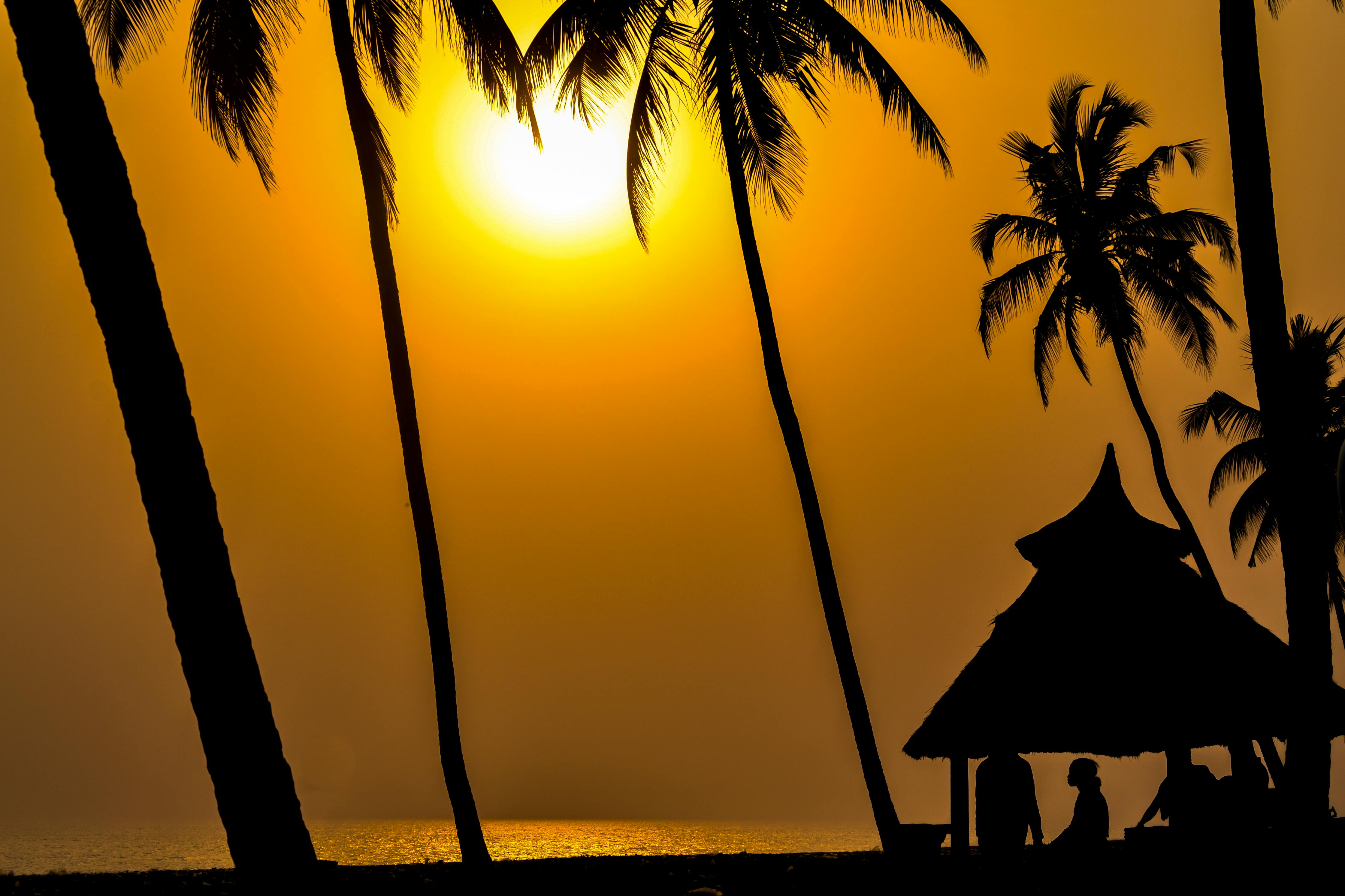 Serene beach sunset with palm tree silhouettes and golden sky reflection on the water.