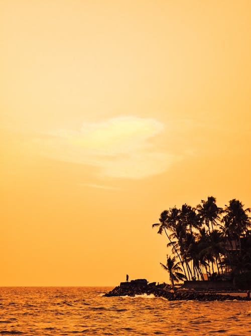 Free Silhouette of Palm Trees during Sunset Stock Photo