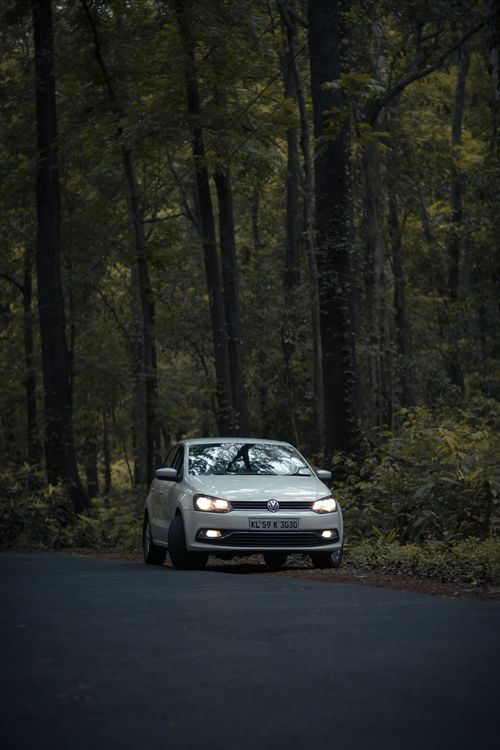 Free A white car drives along a remote forest road, headlights on, surrounded by green trees. Stock Photo