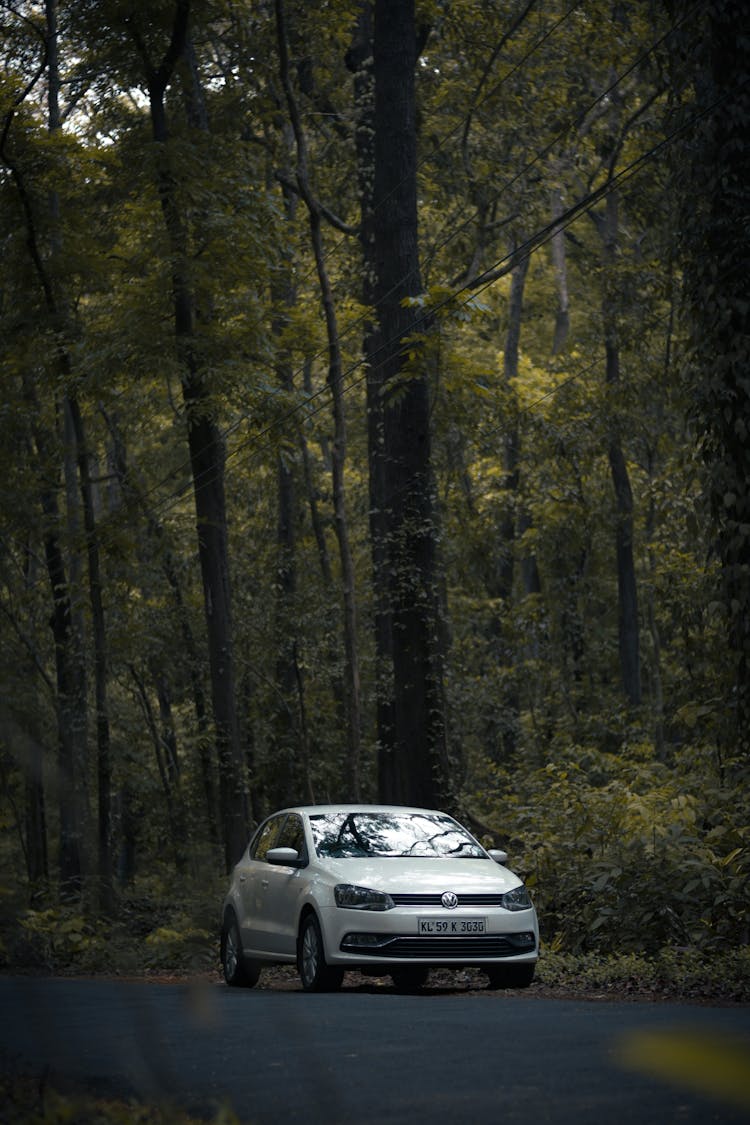 A White Volkswagen Polo