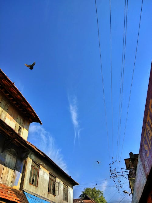 Darmowe zdjęcie z galerii z błękitne niebo