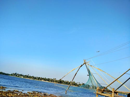 Free stock photo of fish net, sea