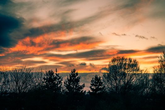 A stunning sunset sky with silhouetted trees and dramatic cloud formations.