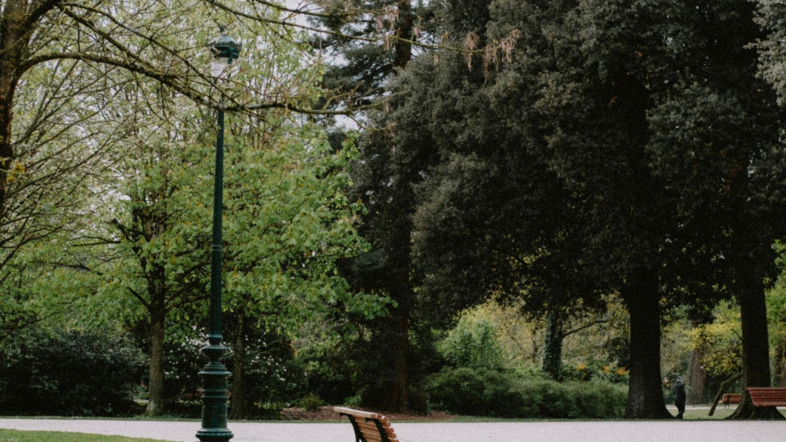 Leafy trees, a street lamp and benches beside a park path