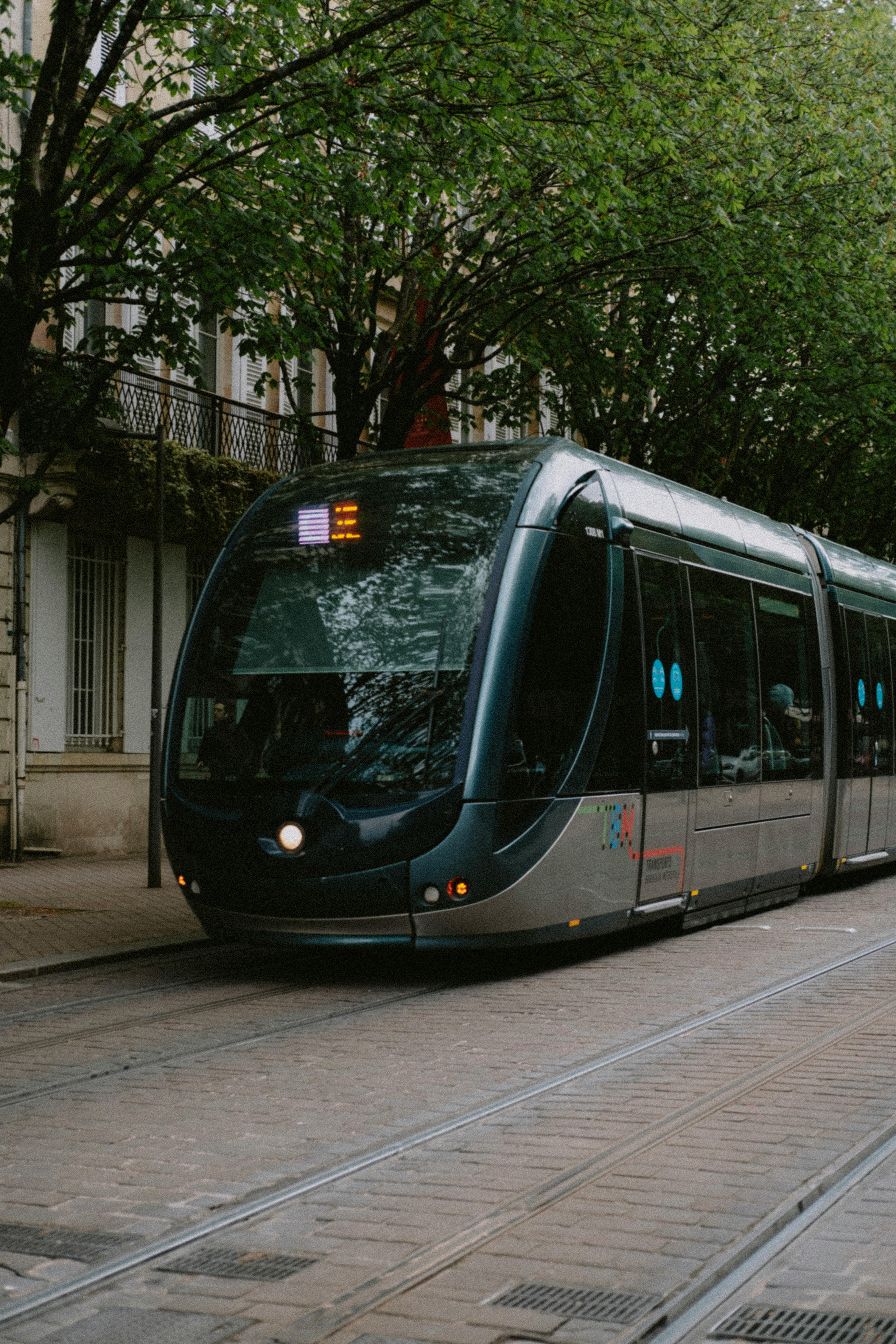 a tram passing trees