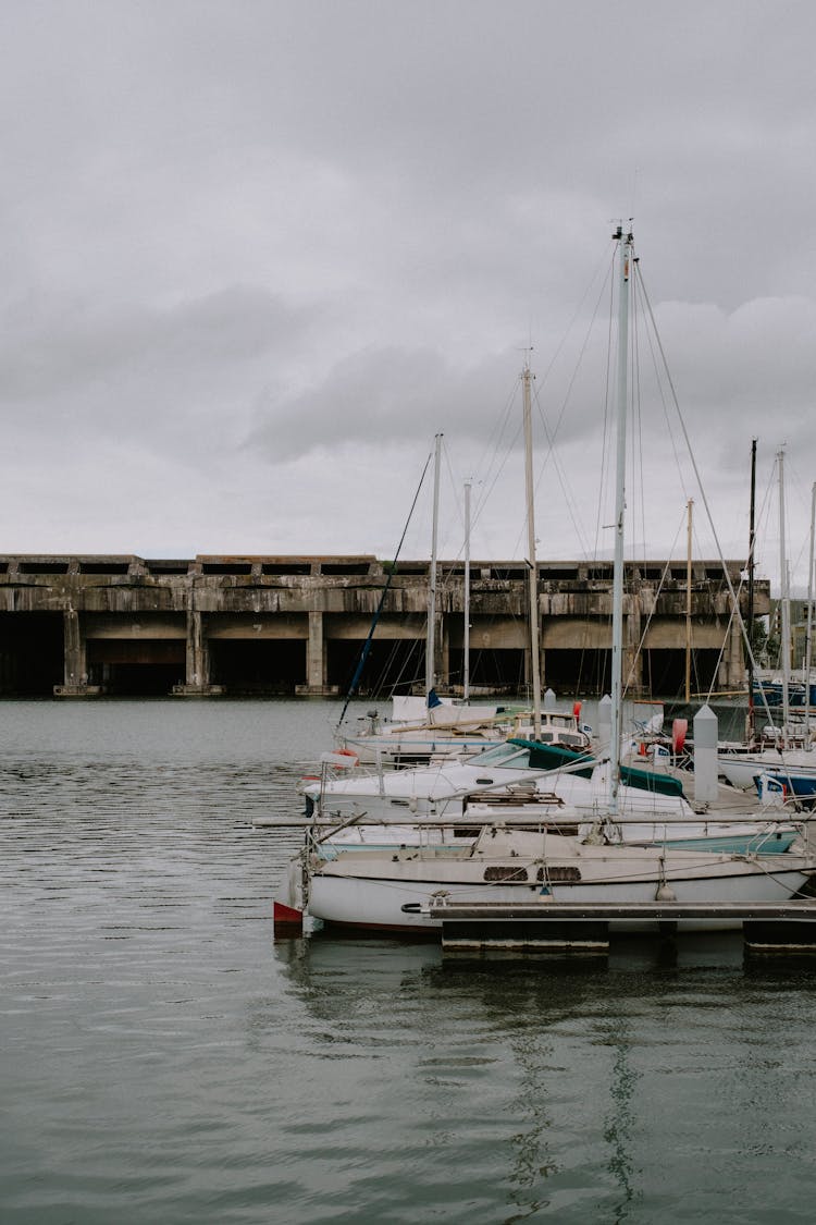 White Sailboats Docked Near A Bridge