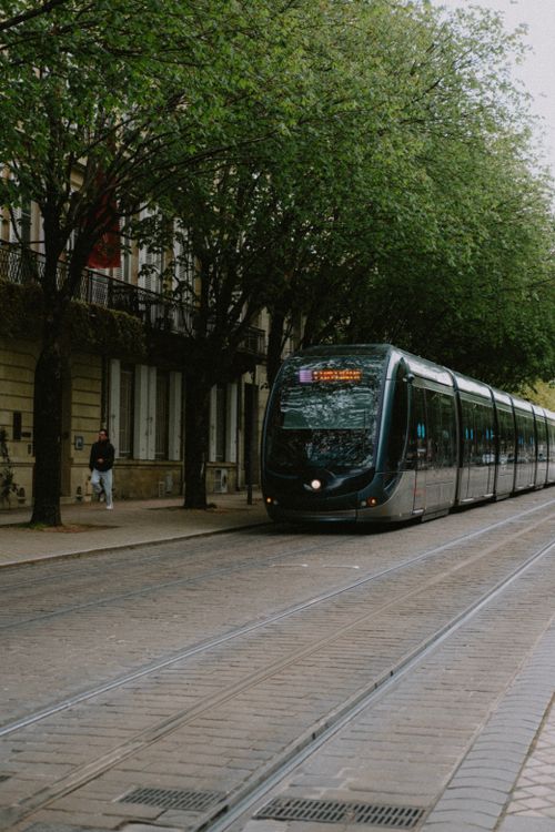 Free A sleek tram travels on a tree-lined street in an urban city setting, showcasing efficient public transport. Stock Photo