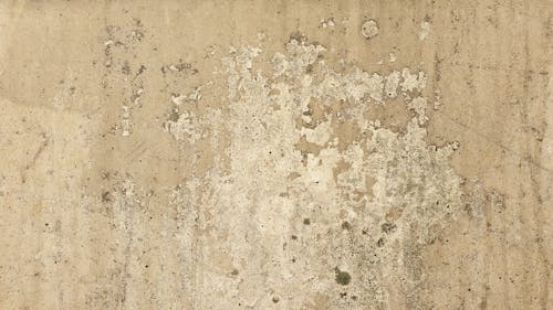 Foto stok gratis beton, cat, cemar