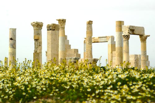 Free stock photo of antique, architecture, city