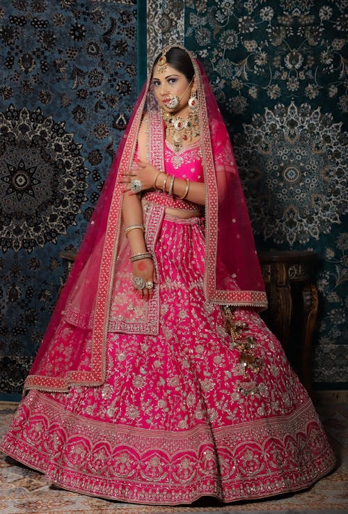 Portrait Of a Hindu Woman In a Beautiful Traditional Dress