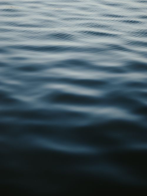 Free Serene close-up of calm water with gentle ripples under daylight, evoking tranquility and peace. Stock Photo